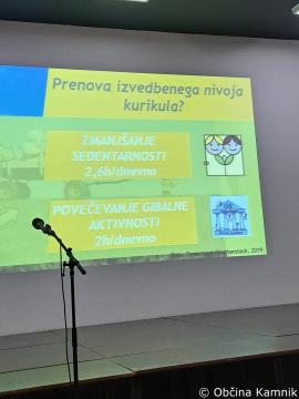 Strokovni posvet na temo Gibanje za zdrave možgane (9)
